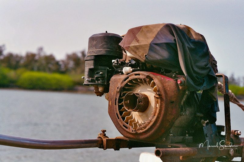 Beispielbilder Nikon Nikkor 135mm 1 Beispielbilder Nikon F3p, Nikkor 135mm 1